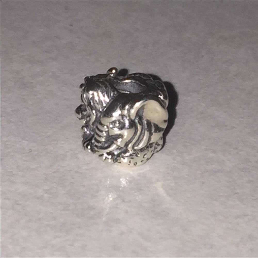 Retired pandora safari charm 791360